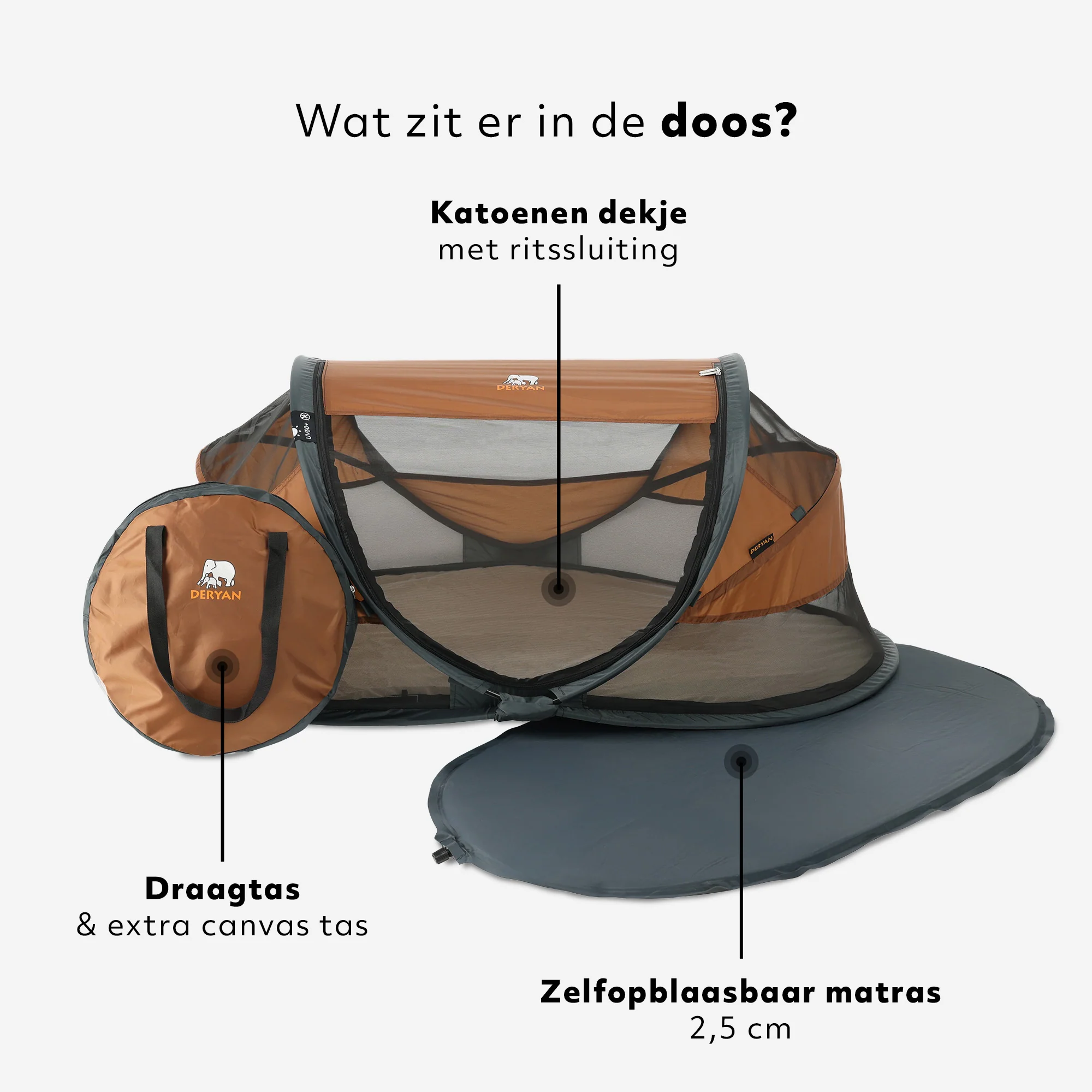 Miniatyrbild 6